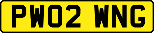 PW02WNG