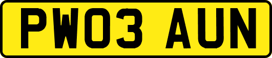 PW03AUN
