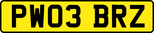 PW03BRZ