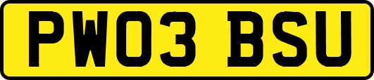 PW03BSU