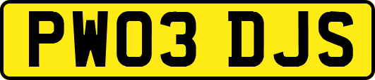 PW03DJS