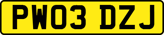 PW03DZJ