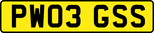 PW03GSS