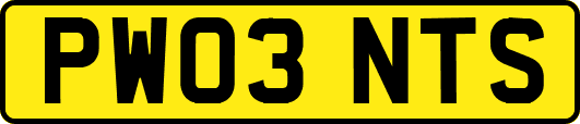 PW03NTS
