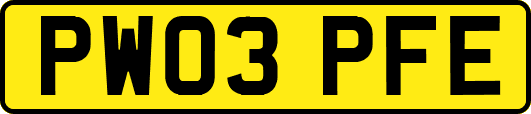 PW03PFE
