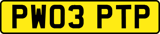 PW03PTP