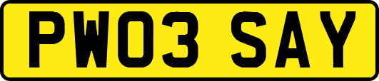 PW03SAY