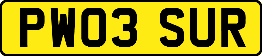 PW03SUR