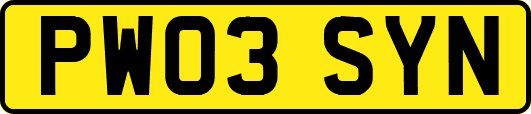 PW03SYN