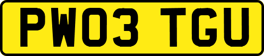 PW03TGU