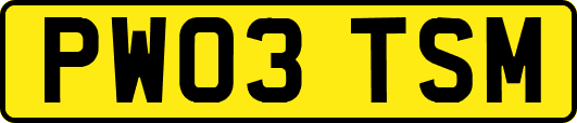 PW03TSM
