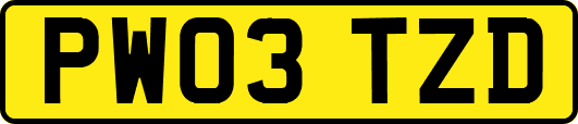PW03TZD