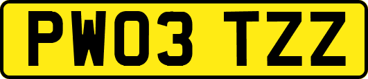 PW03TZZ