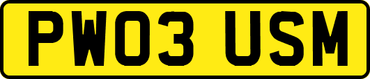 PW03USM