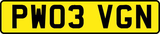 PW03VGN