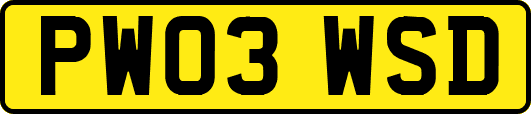 PW03WSD