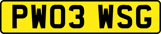 PW03WSG