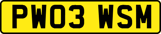 PW03WSM
