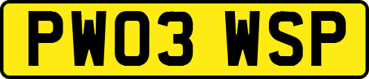 PW03WSP