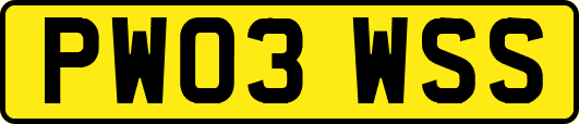 PW03WSS