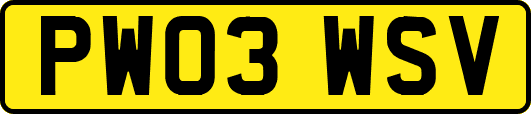 PW03WSV