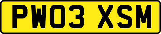 PW03XSM