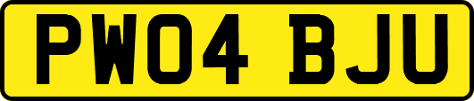 PW04BJU