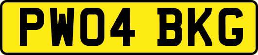 PW04BKG