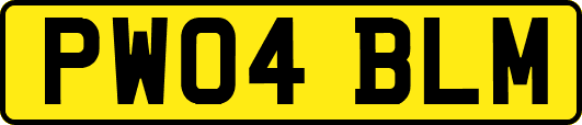 PW04BLM