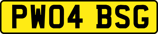 PW04BSG