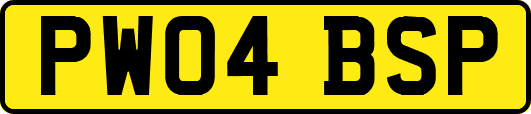 PW04BSP
