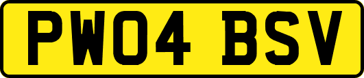 PW04BSV