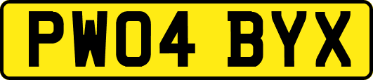 PW04BYX