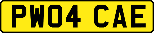 PW04CAE