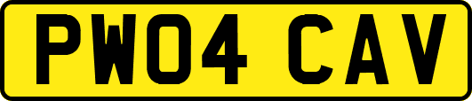 PW04CAV