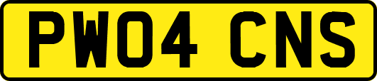 PW04CNS