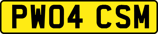 PW04CSM