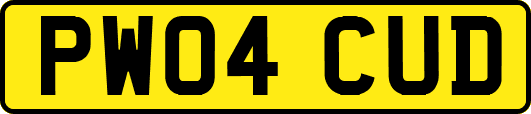 PW04CUD