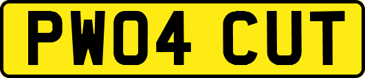 PW04CUT