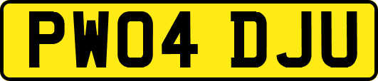 PW04DJU