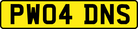 PW04DNS