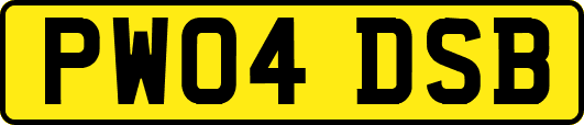 PW04DSB