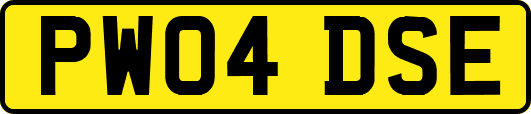 PW04DSE