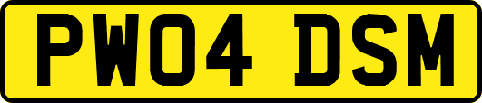 PW04DSM