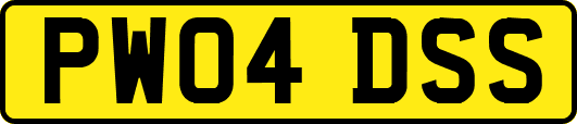 PW04DSS