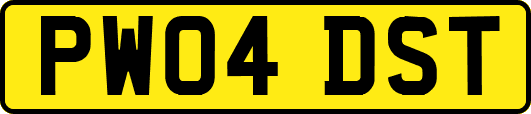 PW04DST