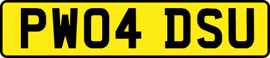 PW04DSU