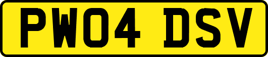 PW04DSV