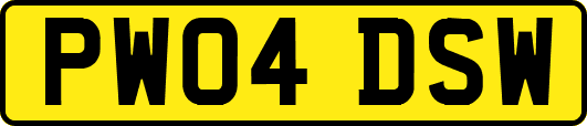 PW04DSW