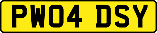 PW04DSY